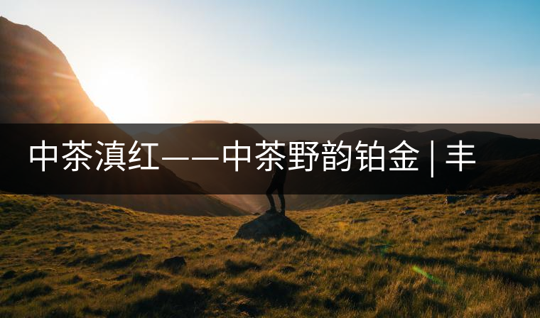 中茶滇紅——中茶野韻鉑金 | 豐苗挺秀，山野花香