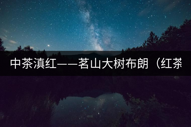中茶滇紅——茗山大樹布朗(紅茶)-苦后回甘 中茶滇紅——茗山大樹布朗(紅茶)-苦后回甘