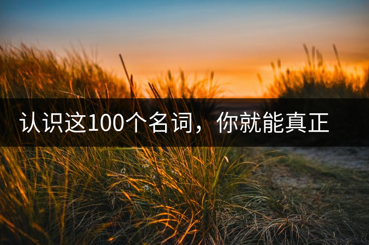認(rèn)識(shí)這100個(gè)名詞，你就能真正了解普洱茶？