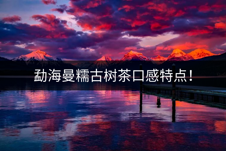 勐海曼糯古樹(shù)茶口感特點(diǎn)！