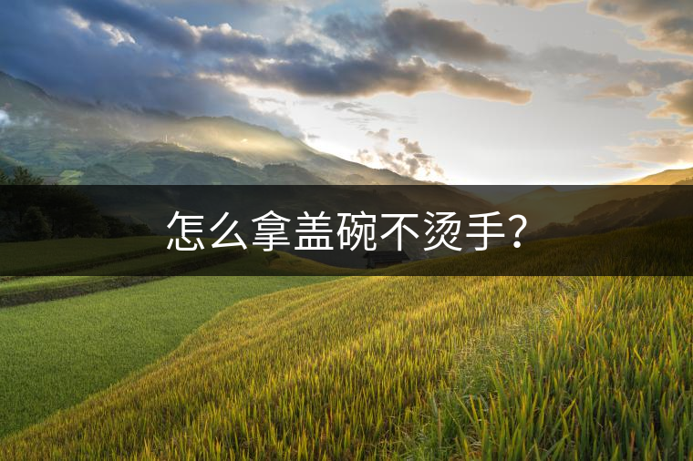 怎么拿蓋碗不燙手？