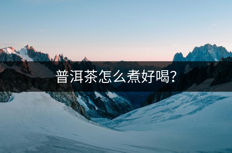 普洱茶怎么煮好喝？
