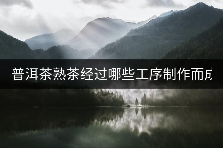 普洱茶熟茶經(jīng)過哪些工序制作而成？