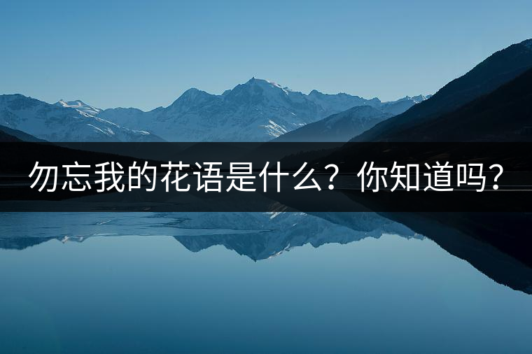 勿忘我的花語是什么？你知道嗎？