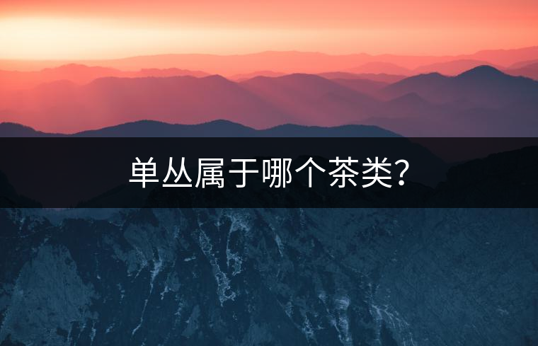 單叢屬于哪個茶類？