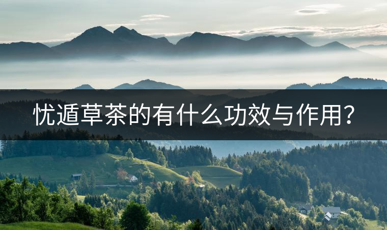 憂遁草茶的有什么功效與作用？