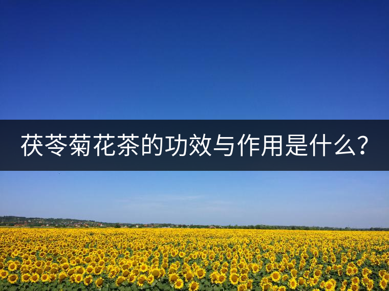 茯苓菊花茶的功效與作用是什么？