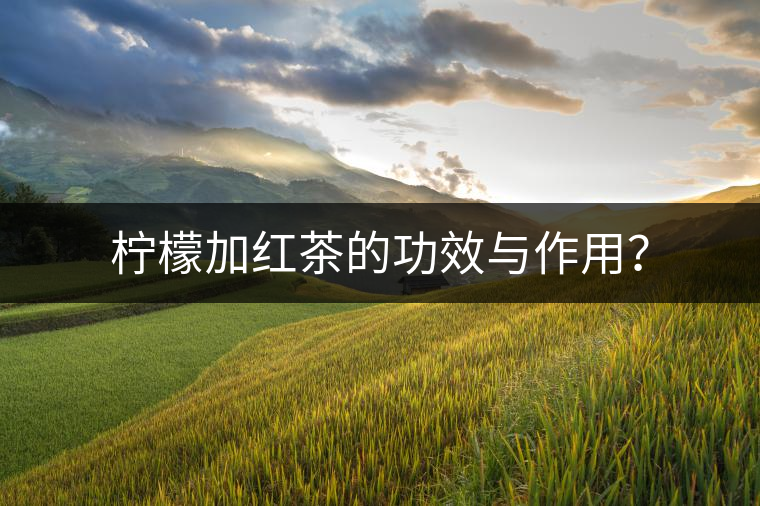 檸檬加紅茶的功效與作用？