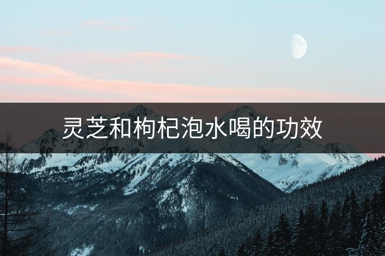 靈芝和枸杞泡水喝的功效