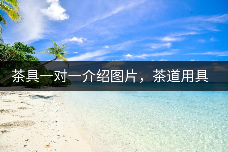 茶具一對一介紹圖片，茶道用具圖解