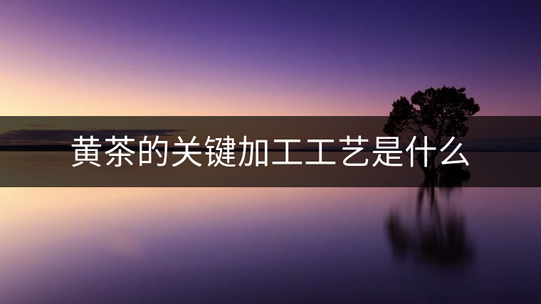 黃茶的關鍵加工工藝是什么
