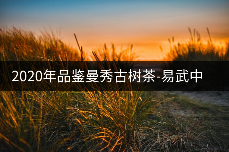 2020年品鑒曼秀古樹茶-易武中聘號