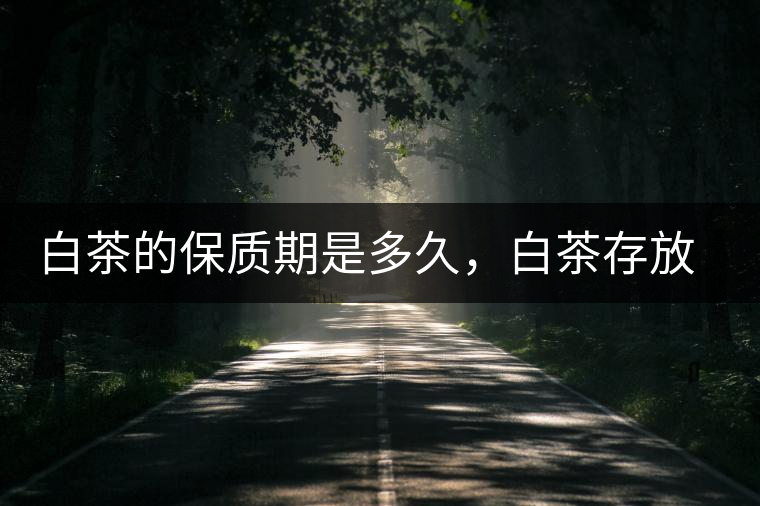 白茶的保質(zhì)期是多久，白茶存放多長(zhǎng)時(shí)間好喝