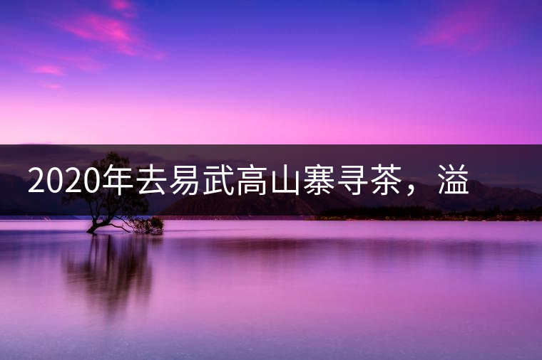 2020年去易武高山寨尋茶，溢滿茶香的古樹寨子-易武中聘號