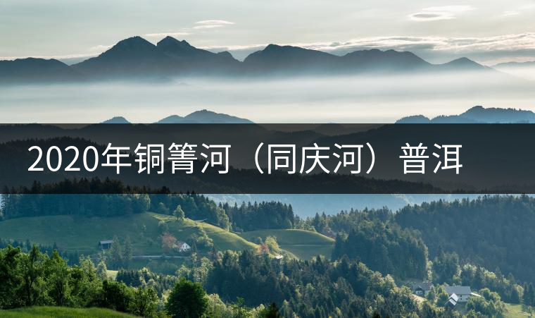 2020年銅箐河（同慶河）普洱茶，野味真難尋！-易武中聘號(hào)