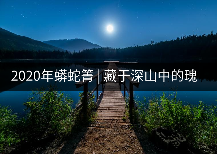 2020年蟒蛇箐 | 藏于深山中的瑰寶-易武中聘號(hào)