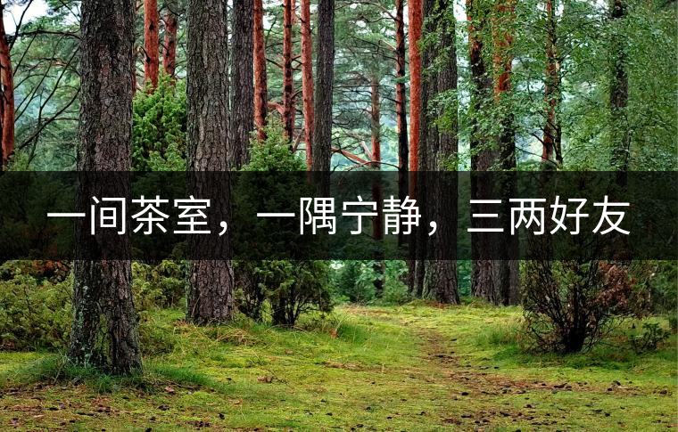 一間茶室，一隅寧靜，三兩好友
