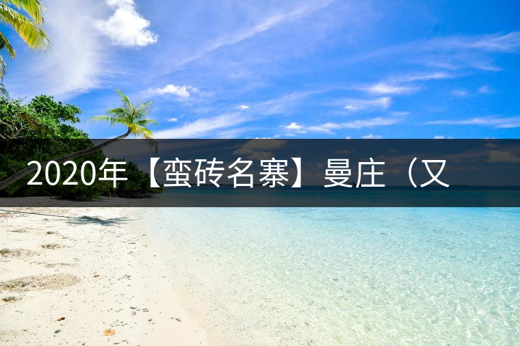 2020年【蠻磚名寨】曼莊（又作：蠻磚、曼磚）-易武中聘號