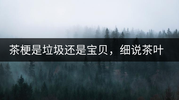 茶梗是垃圾還是寶貝，細(xì)說茶葉的那些梗