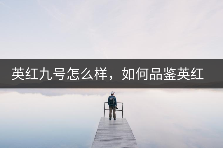 英紅九號(hào)怎么樣，如何品鑒英紅九號(hào)紅茶