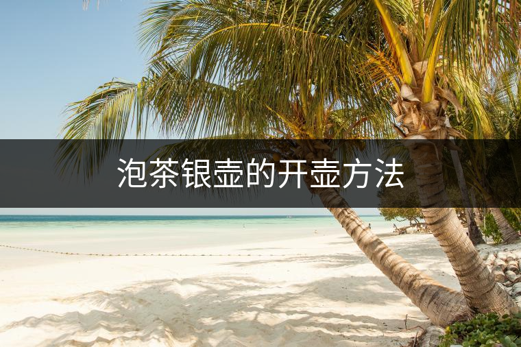 泡茶銀壺的開壺方法 泡茶銀壺的開壺方法