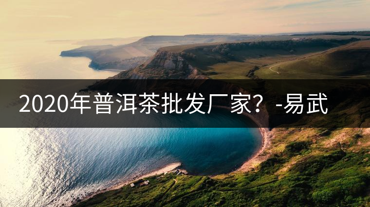 2020年普洱茶批發(fā)廠家？-易武中聘號