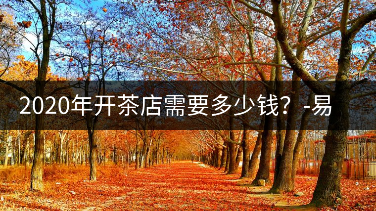 2020年開茶店需要多少錢？-易武中聘號