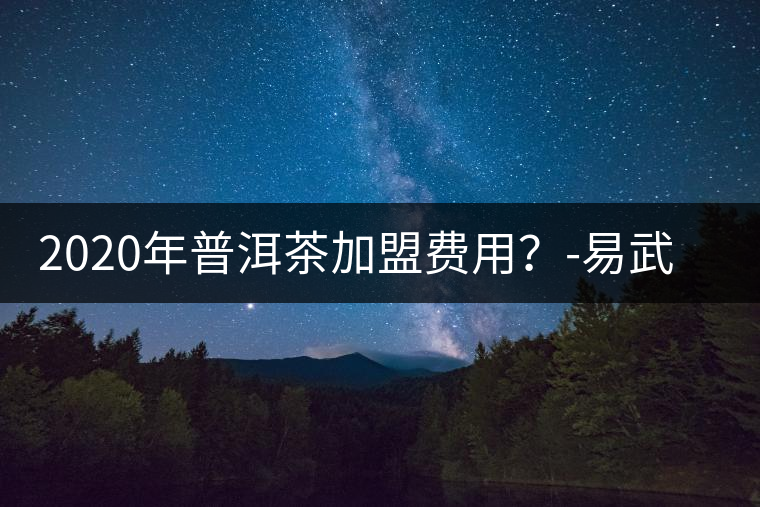 2020年普洱茶加盟費(fèi)用？-易武中聘號(hào)