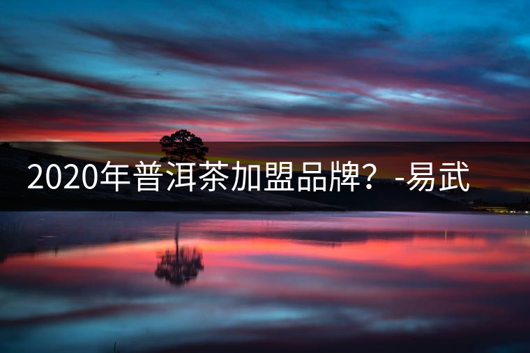 2020年普洱茶加盟品牌？-易武中聘號