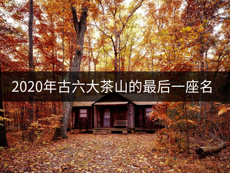 2020年古六大茶山的最后一座名山——攸樂山。-易武中聘號