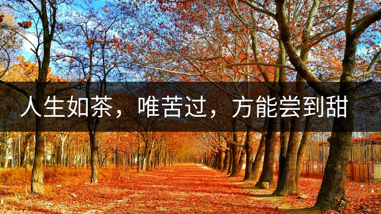 人生如茶，唯苦過，方能嘗到甜滋味