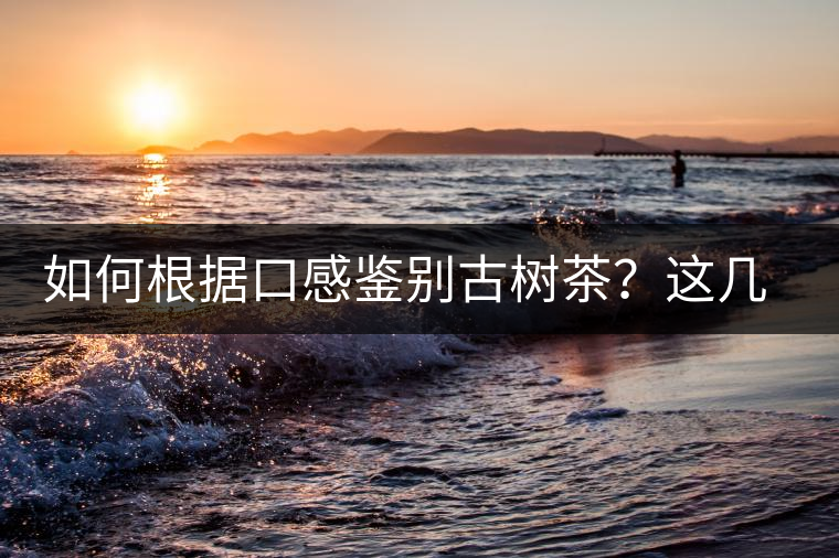 如何根據(jù)口感鑒別古樹茶？這幾個技巧值得收藏