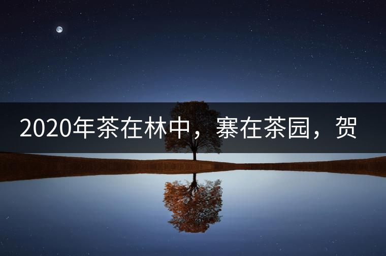 2020年茶在林中，寨在茶園，賀開古樹茶-易武中聘號