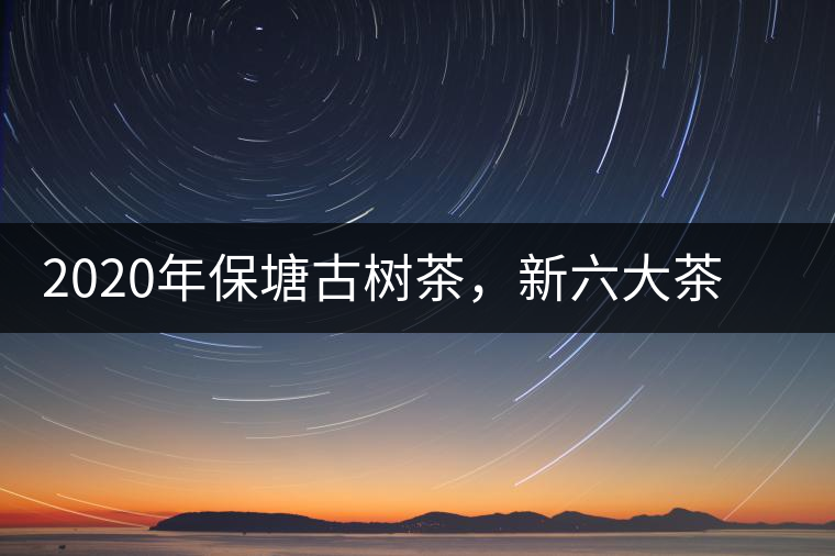 2020年保塘古樹茶，新六大茶山之勐宋茶佼佼者-易武中聘號(hào)
