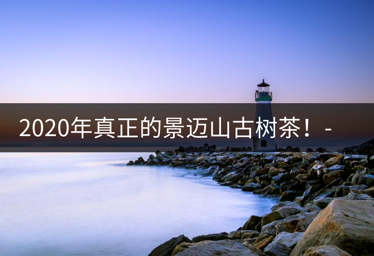 2020年真正的景邁山古樹茶！-易武中聘號