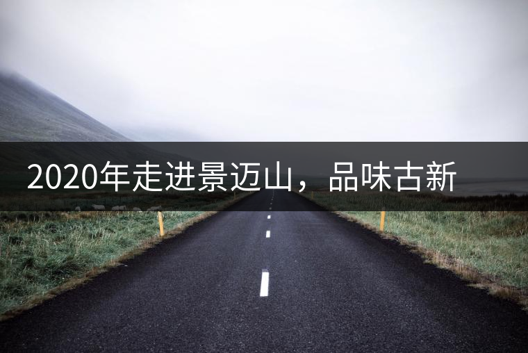 2020年走進(jìn)景邁山，品味古新六大茶山古樹茶之韻-易武中聘號(hào)