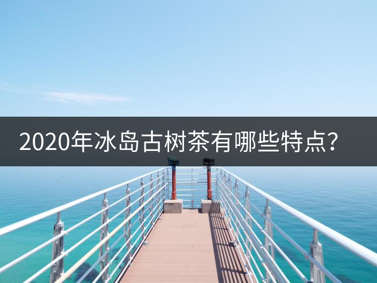 2020年冰島古樹茶有哪些特點(diǎn)？-易武中聘號
