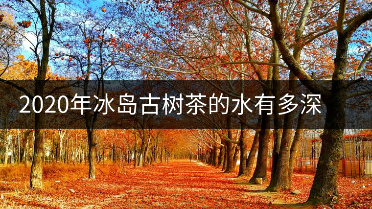 2020年冰島古樹茶的水有多深？別被蒙在鼓里啦-易武中聘號