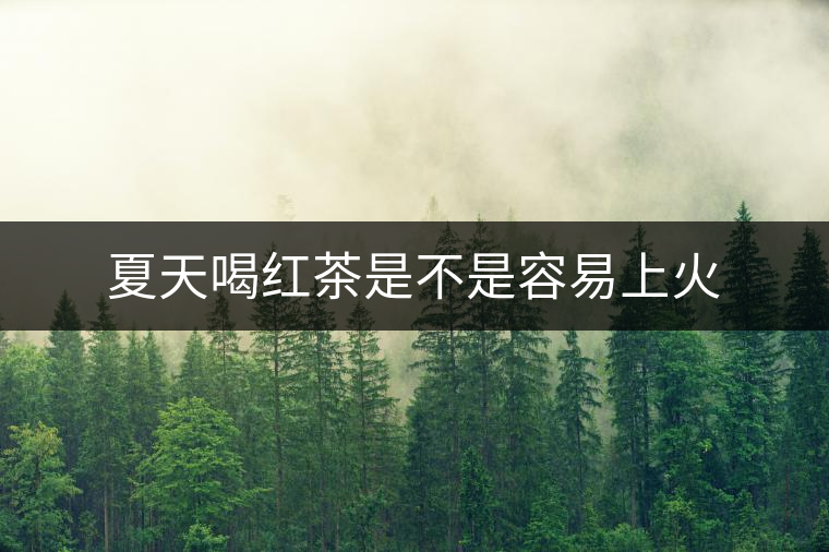 夏天喝紅茶是不是容易上火