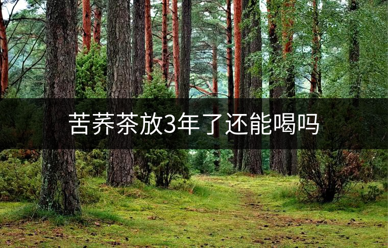 苦蕎茶放3年了還能喝嗎