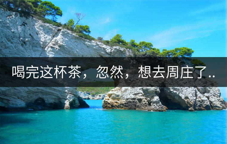 喝完這杯茶，忽然，想去周莊了...