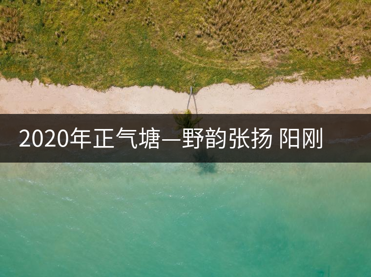 2020年正氣塘—野韻張揚(yáng) 陽剛豪邁-易武中聘號(hào)