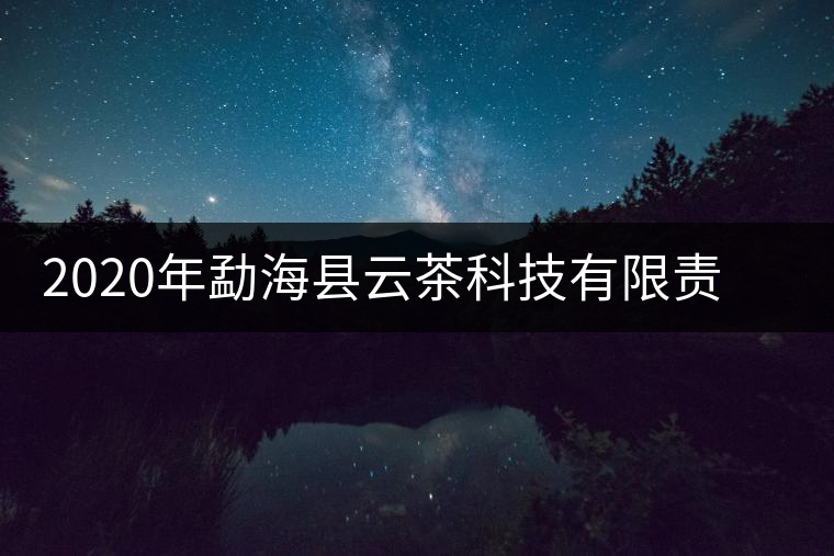 2020年勐?？h云茶科技有限責(zé)任公司簡(jiǎn)介