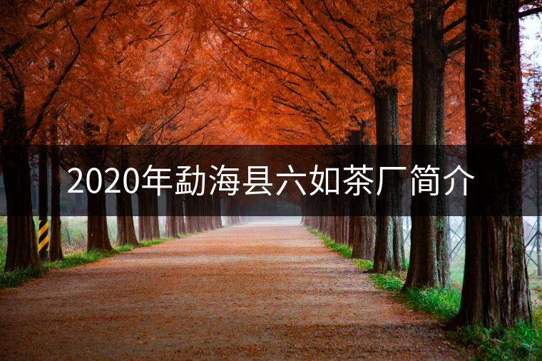 2020年勐?？h六如茶廠簡介