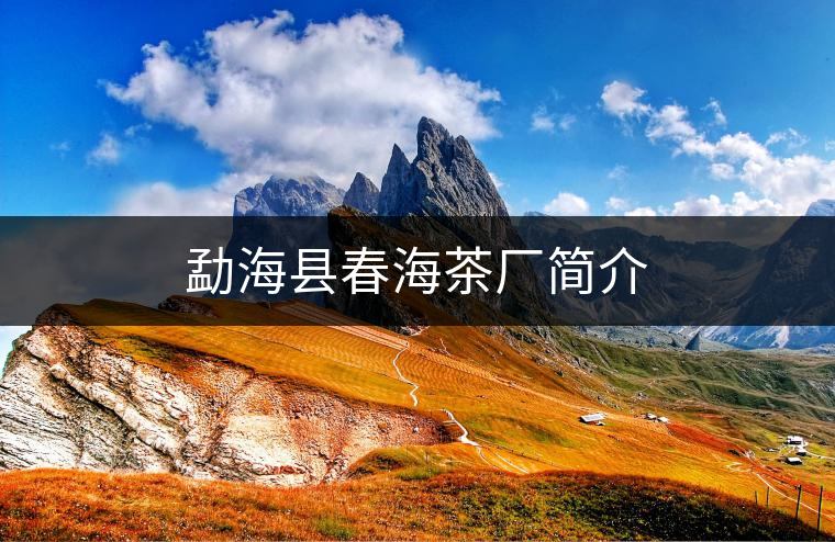 勐?？h春海茶廠簡(jiǎn)介