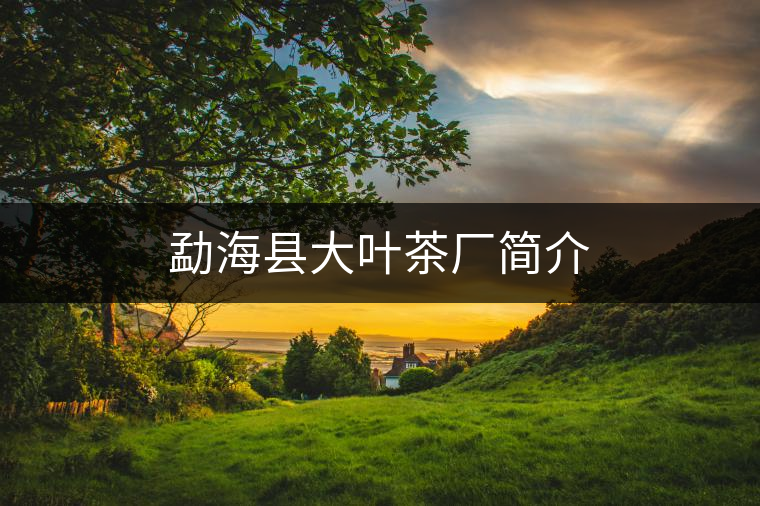 勐??h大葉茶廠簡介 勐海縣大葉茶廠簡介