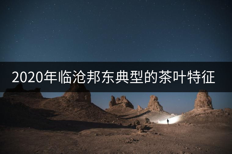 2020年臨滄邦東典型的茶葉特征-易武中聘號 2020年臨滄邦東典型的茶葉特征-易武中聘號