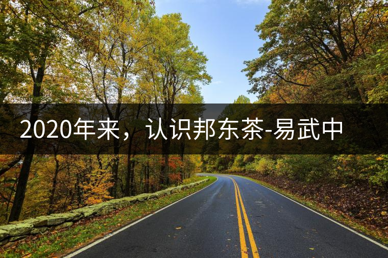 2020年來，認(rèn)識(shí)邦東茶-易武中聘號(hào)