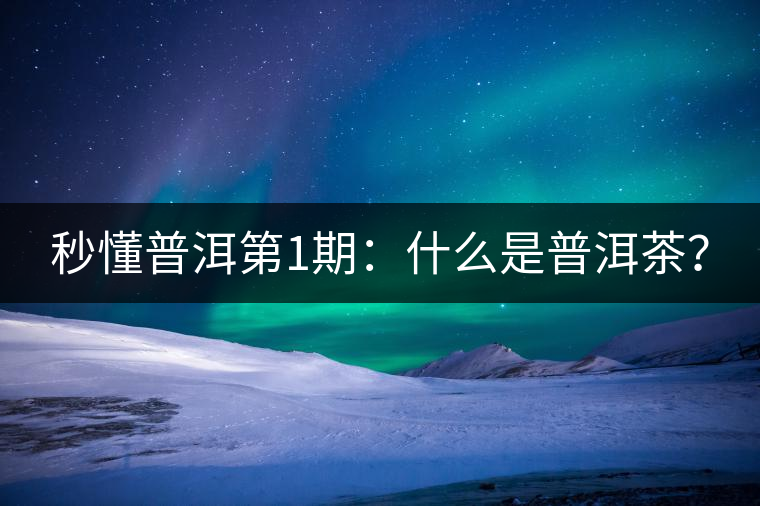 秒懂普洱第1期：什么是普洱茶？