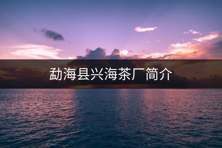 勐?？h興海茶廠簡(jiǎn)介